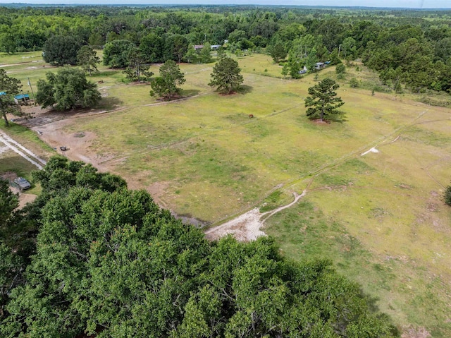 981 NW Radford Denson Rd, Greenville, FL 32331 - photo 17