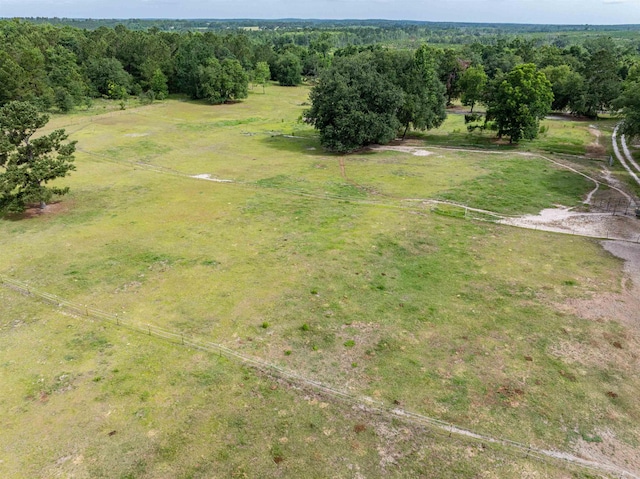 981 NW Radford Denson Rd, Greenville, FL 32331 - photo 10
