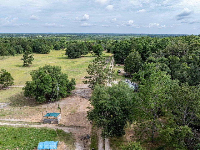 981 NW Radford Denson Rd, Greenville, FL 32331 - photo 6