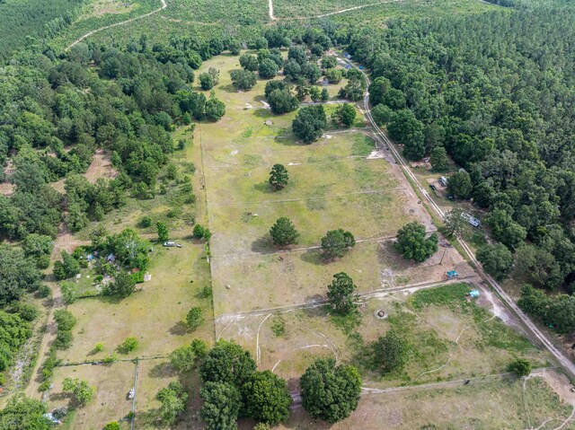981 NW Radford Denson Rd, Greenville, FL 32331 - photo 19
