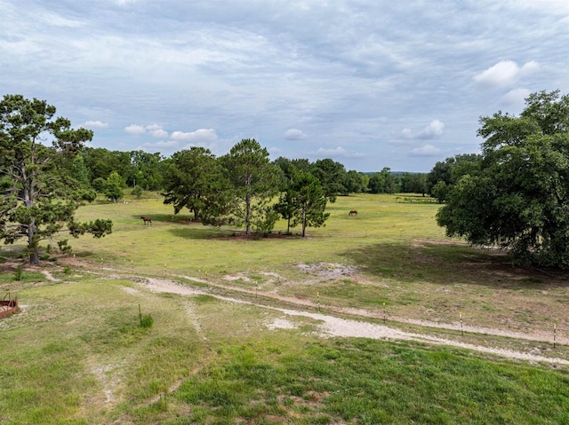 981 NW Radford Denson Rd, Greenville, FL 32331 - photo 7