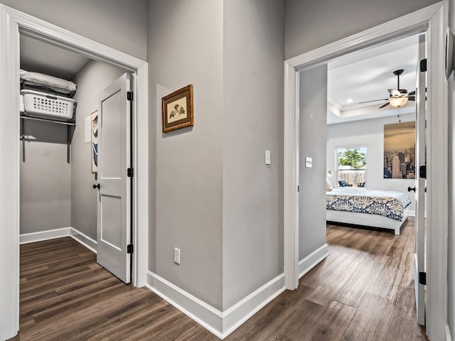 hallway with dark hardwood / wood-style flooring and a tray ceiling