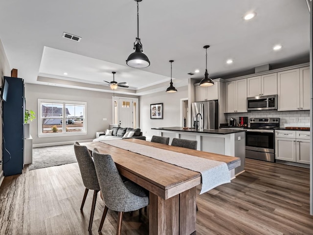 kitchen with pendant lighting, a kitchen island with sink, ceiling fan, a tray ceiling, and stainless steel appliances