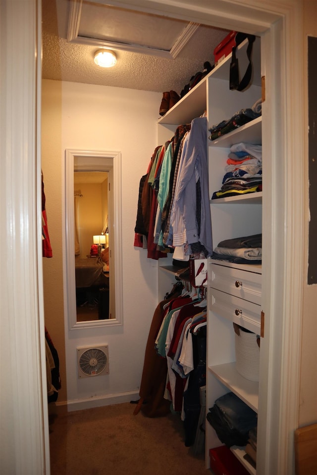 walk in closet with carpet