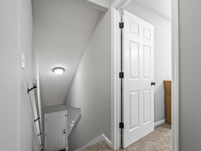 stairway featuring carpet flooring