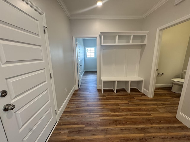 mudroom featuring dark wood-style floors, ornamental molding, and baseboards