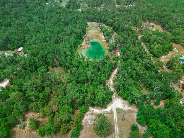 14135 98th St, Live Oak, FL 32060 - view of property location with a forest