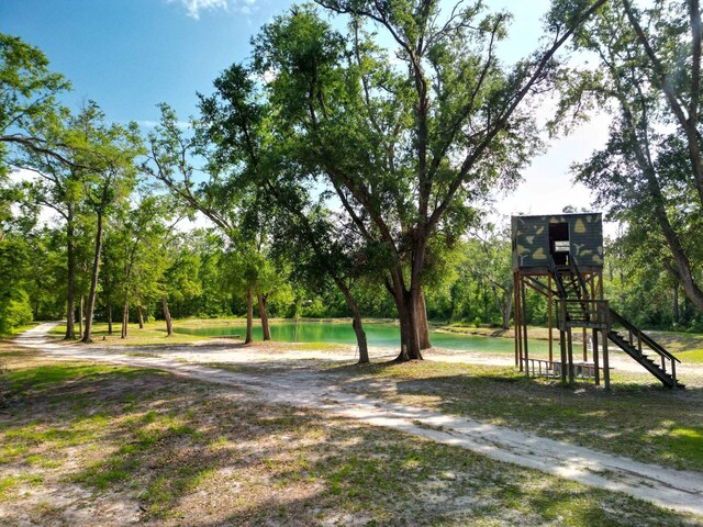 14135 98th St, Live Oak, FL 32060 - view of yard featuring a water view and view of scattered trees