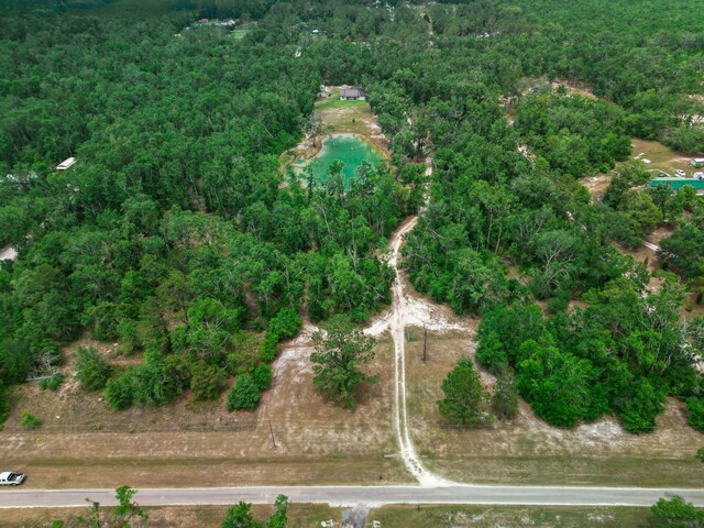 14135 98th St, Live Oak, FL 32060 - aerial view of property's location with a forest and a nearby body of water