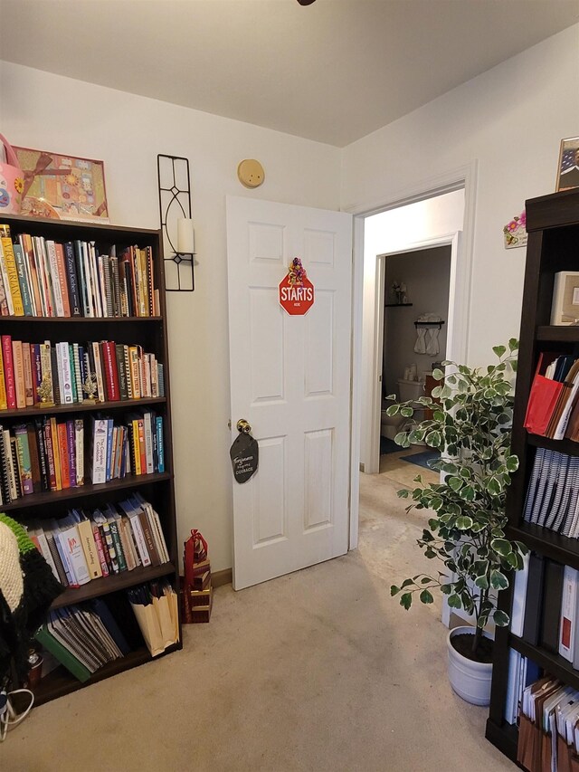 sitting room with light colored carpet