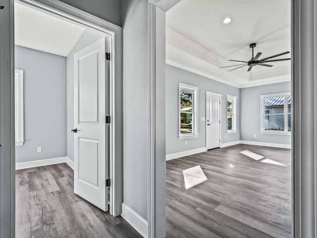 entryway with ornamental molding, dark hardwood / wood-style floors, ceiling fan, and a tray ceiling