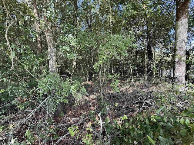 Listing photo 5 - caption unavailable