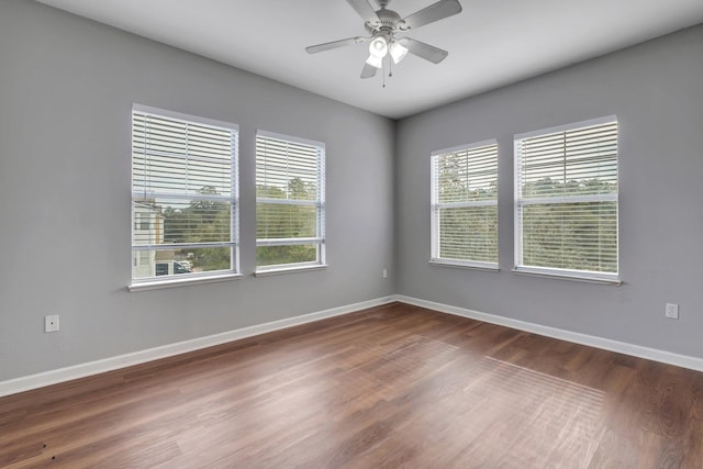 2801 Chancellorsville Dr Unit 137, Tallahassee, FL 32312 - photo 14