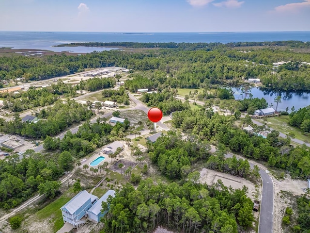 1673 Landing St, Carrabelle, FL 32322 - drone / aerial view of a nearby body of water and a heavily wooded area
