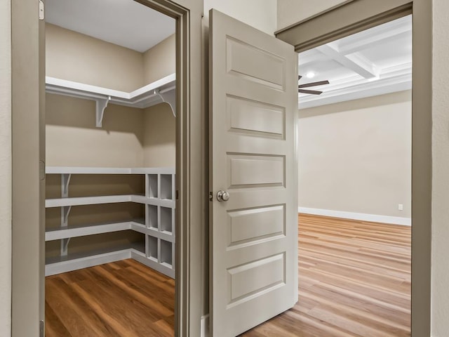 1673 Landing St, Carrabelle, FL 32322 - view of closet