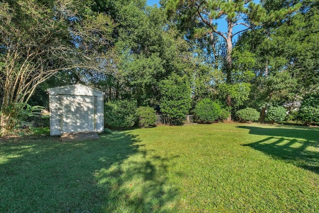 view of yard featuring a shed