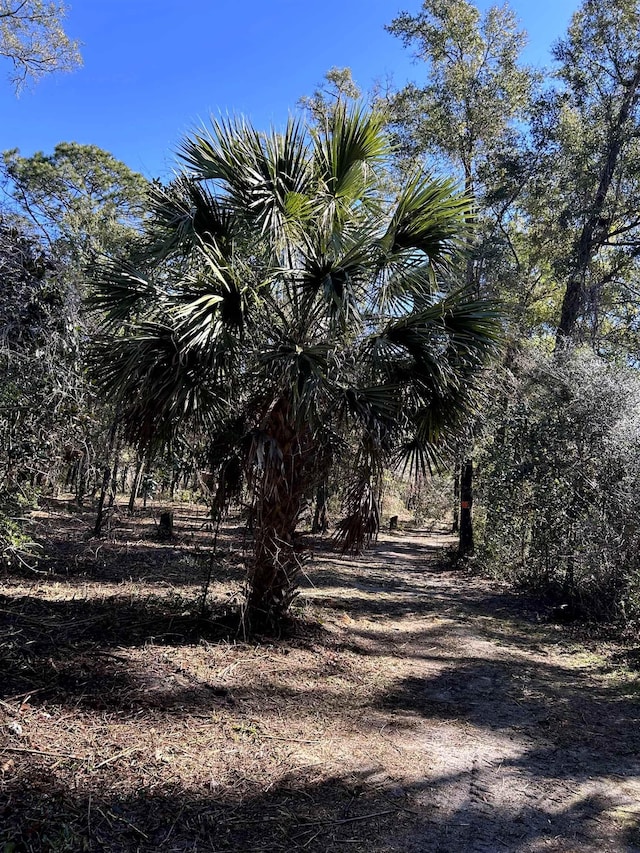 XX Old Revell Rd, Crawfordville FL, 32327 land for sale