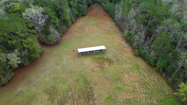 26070 Blue Star Hwy, Quincy, FL 32351 - photo 10