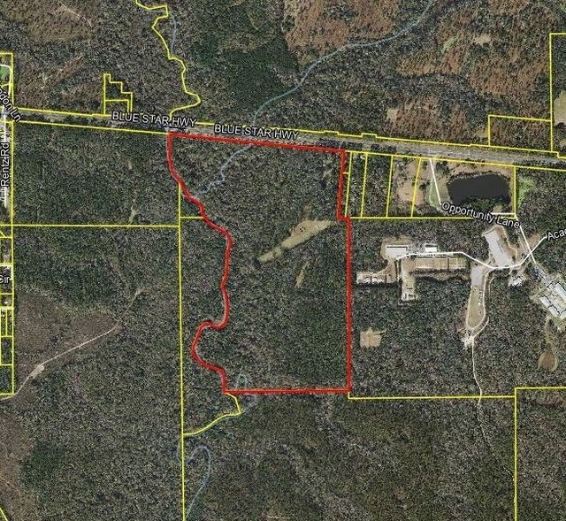 26070 Blue Star Hwy, Quincy, FL 32351 - photo 12