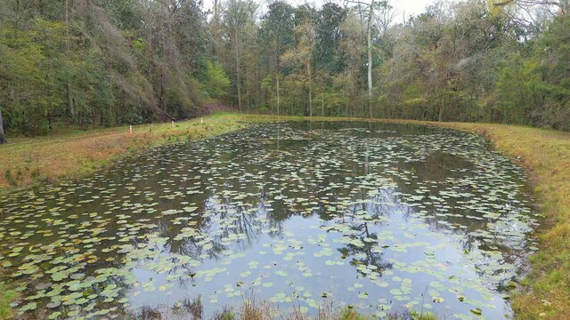 26070 Blue Star Hwy, Quincy, FL 32351 - photo 11
