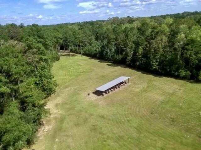 26070 Blue Star Hwy, Quincy, FL 32351 - photo 19