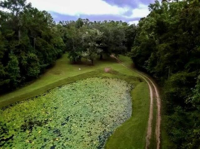 26070 Blue Star Hwy, Quincy, FL 32351 - photo 27