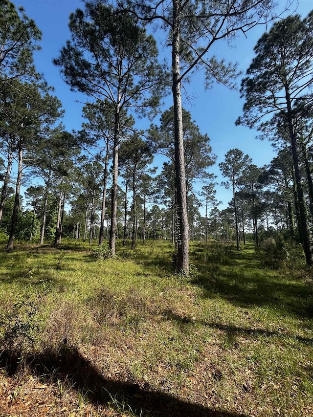 Listing photo 3 for 0 Turkey Roost Rd, Tallahassee FL 32317