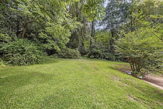 1519 Marion Ave, Tallahassee, FL 32303 - photo 37