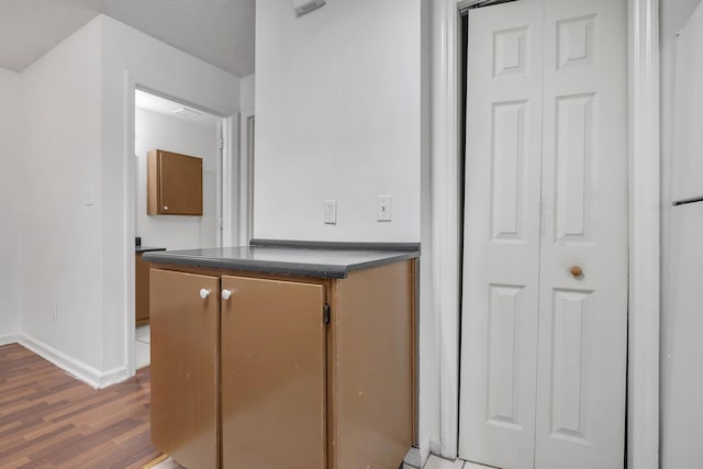 2467 Nugget Ln, Tallahassee, FL 32303 - bathroom featuring wood finished floors, baseboards, and a closet