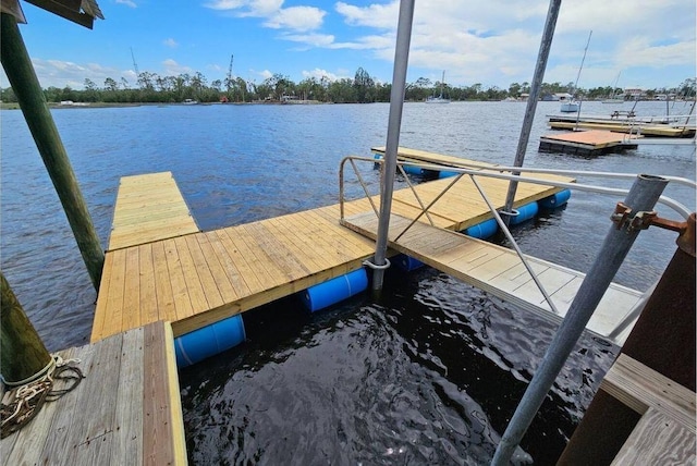603 SE Riverside Dr, Steinhatchee, FL 32359 - photo 2