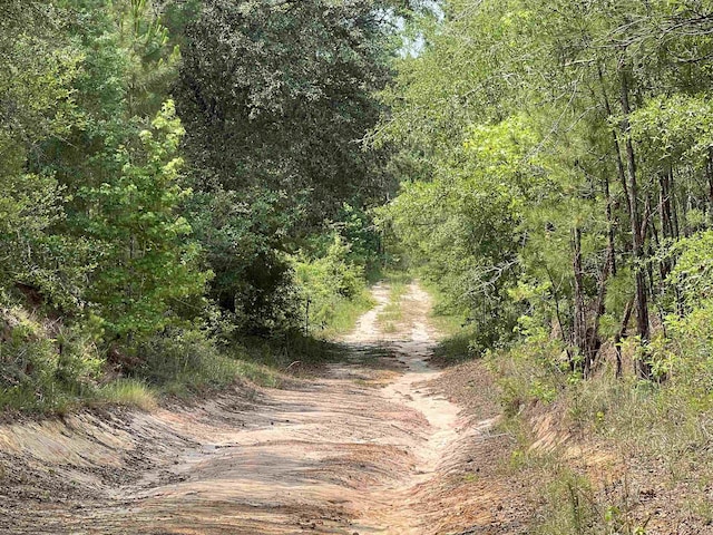 0200 Shade Farm Rd, Quincy, FL 32351