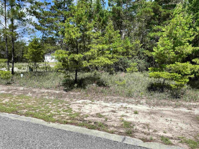 1756 Landing St, Carrabelle, FL 32322