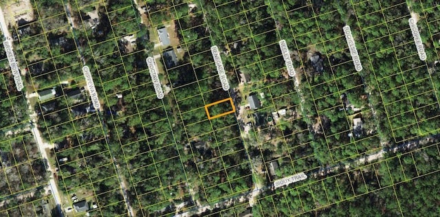 X Renegade Rd, Crawfordville, FL 32327