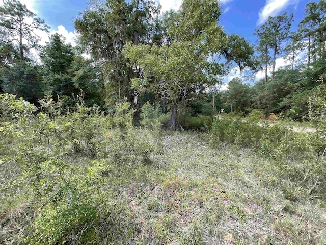 VACANTLOT58 NE Blackjack Loop Unit 1, Lee, FL 32059 - photo 15