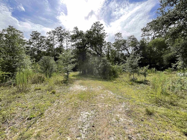 VACANTLOT58 NE Blackjack Loop Unit 1, Lee, FL 32059 - photo 10