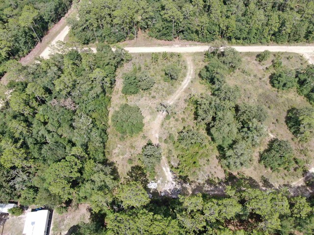 VACANTLOT58 NE Blackjack Loop Unit 1, Lee, FL 32059 - photo 7