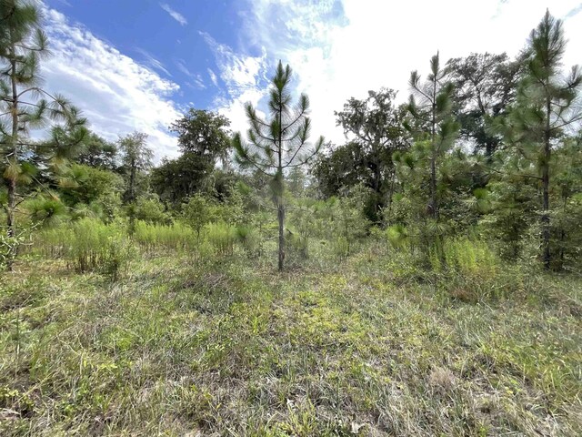 VACANTLOT58 NE Blackjack Loop Unit 1, Lee, FL 32059 - photo 12