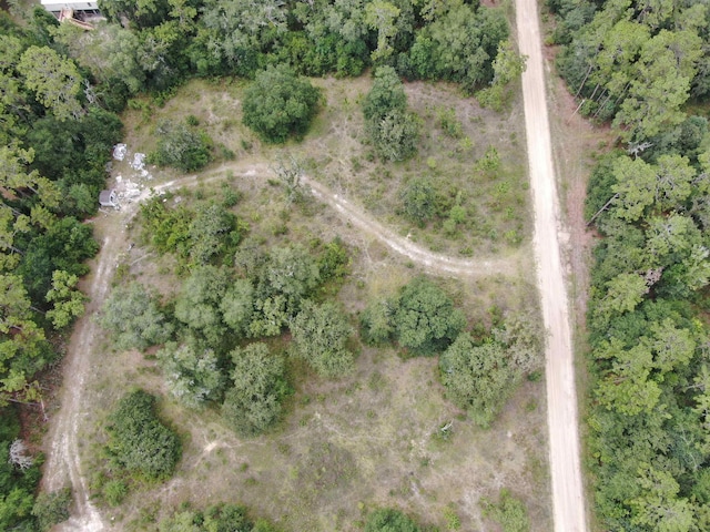 VACANTLOT58 NE Blackjack Loop Unit 1, Lee, FL 32059 - photo 21