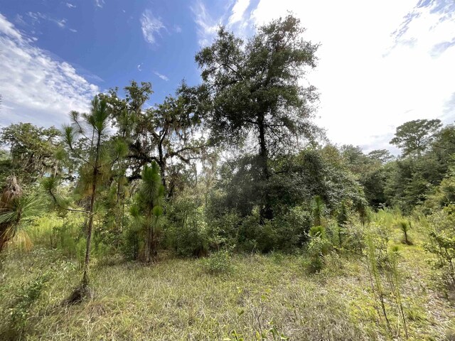 VACANTLOT58 NE Blackjack Loop Unit 1, Lee, FL 32059 - photo 9