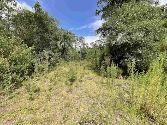 VACANTLOT58 NE Blackjack Loop Unit 1, Lee, FL 32059 - photo 16