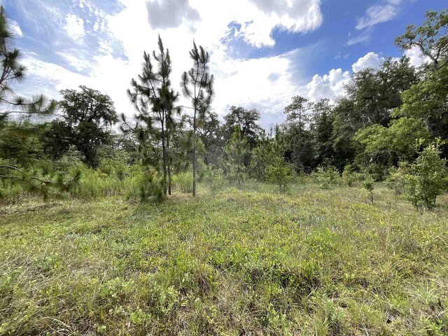 VACANTLOT58 NE Blackjack Loop Unit 1, Lee, FL 32059 - photo 11