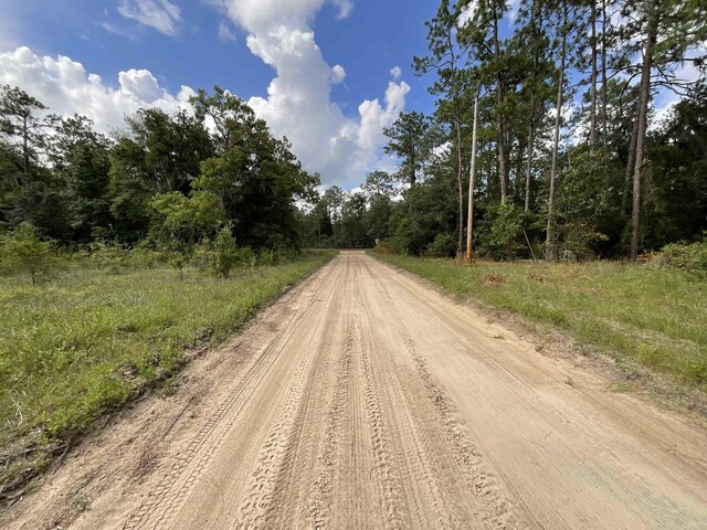 VACANTLOT58 NE Blackjack Loop Unit 1, Lee, FL 32059 - photo 6