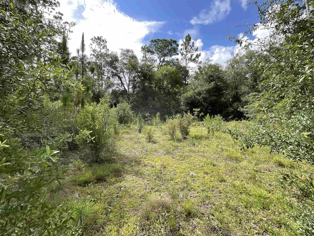 VACANTLOT58 NE Blackjack Loop Unit 1, Lee, FL 32059 - photo 18