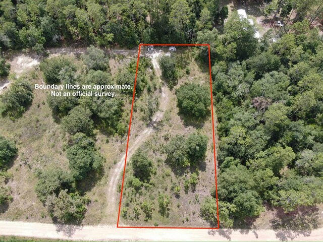 VACANTLOT58 NE Blackjack Loop Unit 1, Lee, FL 32059 - photo 5