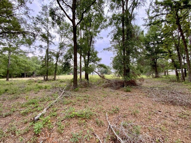 VACANT NE Bellville Rd, Pinetta, FL 32350 - photo 8