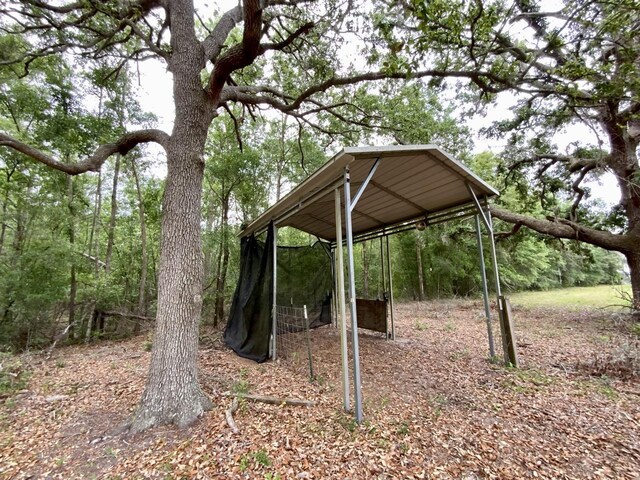 VACANT NE Bellville Rd, Pinetta, FL 32350 - photo 4