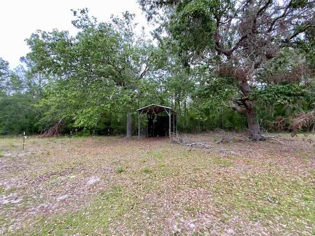 VACANT NE Bellville Rd, Pinetta, FL 32350 - photo 3