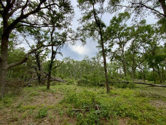 VACANT NE Bellville Rd, Pinetta, FL 32350 - photo 18
