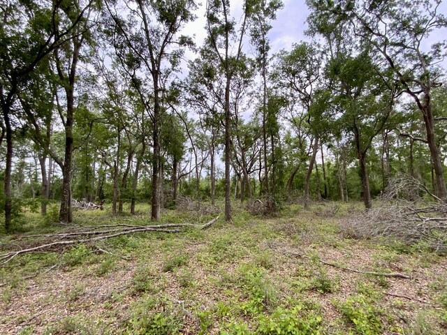 VACANT NE Bellville Rd, Pinetta, FL 32350 - photo 15