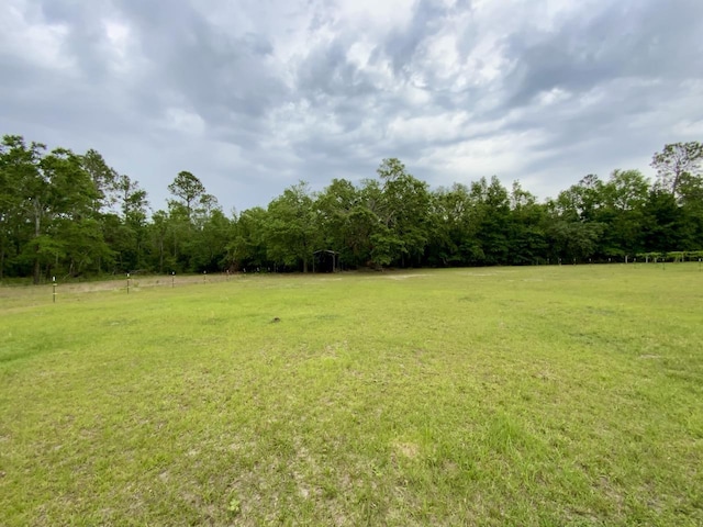 VACANT NE Bellville Rd, Pinetta, FL 32350 - photo 2